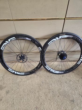 Bianchi VELOMANN PALLADIUM 33 2025