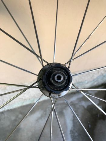 Used Campagnolo vento 20 raggi 1995 bike — image 7 of 7