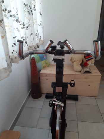 Used Rizzato SpinLinea Rizzato SpinLinea Spinbike Volano 30 Kg No Spedizione bike — image 5 of 6