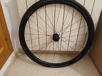 Bontrager, paradigm