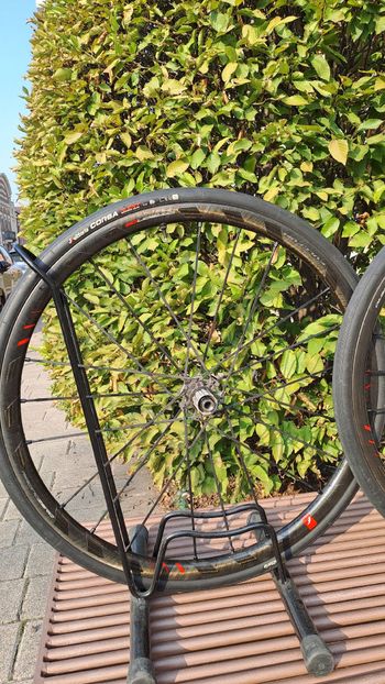 Used Fulcrum Zero Carbon disc 2023 bike — image 3 of 7