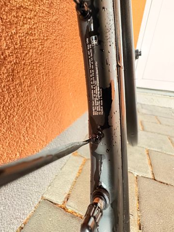 Used Mavic Ksyrium SL Disc Wheels 2024 bike — image 6 of 6