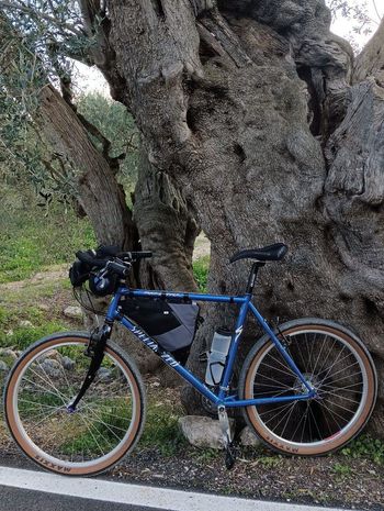 Brugt ritchey rock comp vintage 2025 Wheels