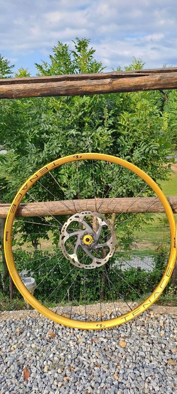 Used Bone Deth tenace gold agazzini 2023 bike — image 5 of 9