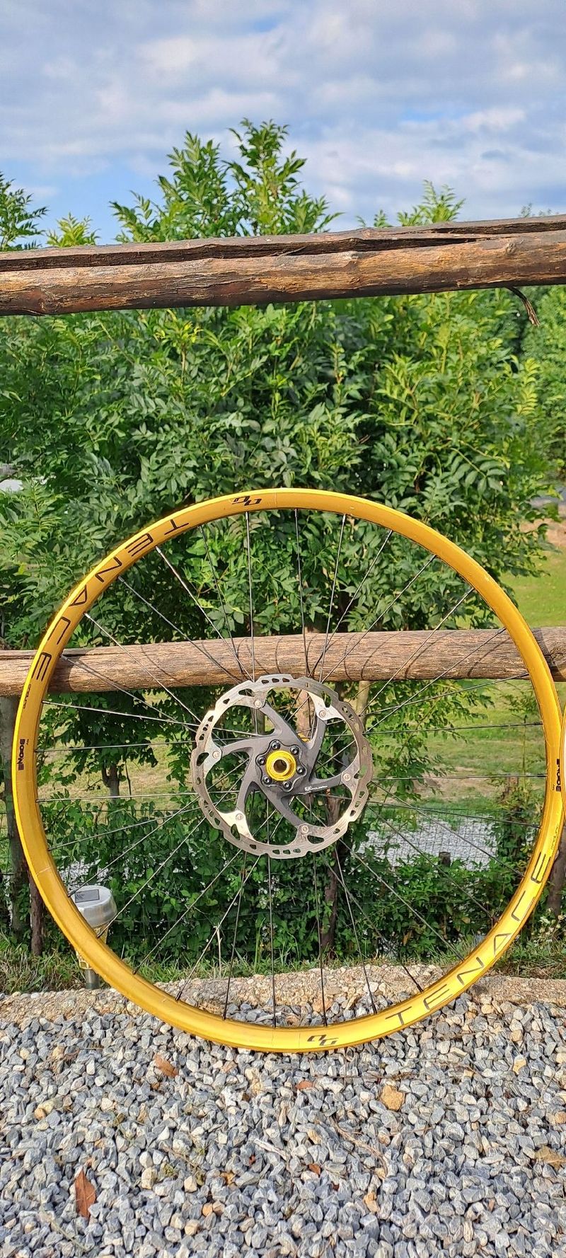 Used Bone Deth tenace gold agazzini 2023 bike — image 5 of 9