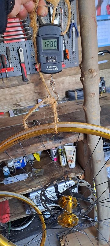 Used Bone Deth tenace gold agazzini 2023 bike — image 9 of 9