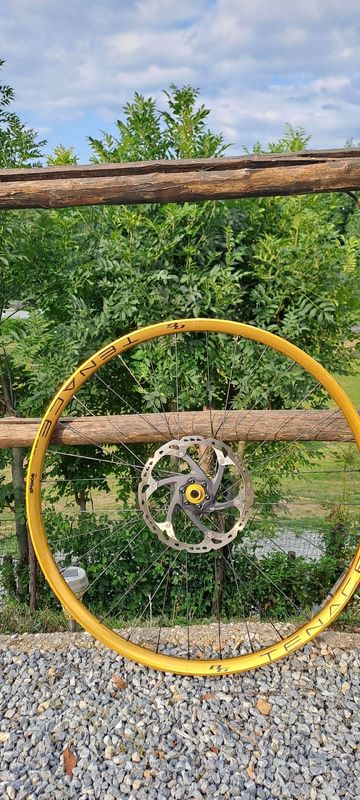 Used Bone Deth tenace gold agazzini 2023 bike — image 6 of 9