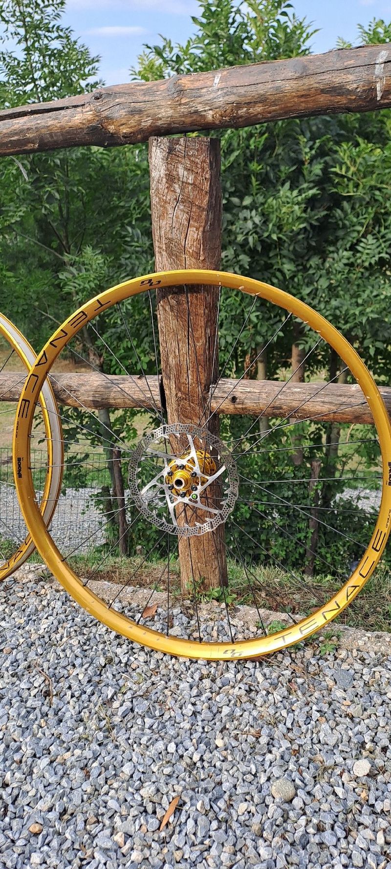 Used Bone Deth tenace gold agazzini 2023 bike — image 7 of 9