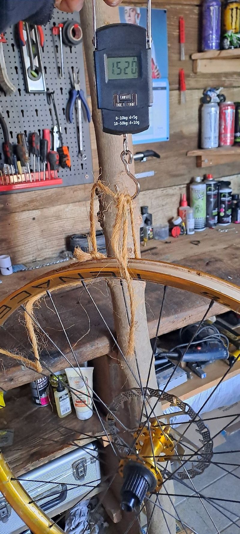 Used Bone Deth tenace gold agazzini 2023 bike — image 8 of 9