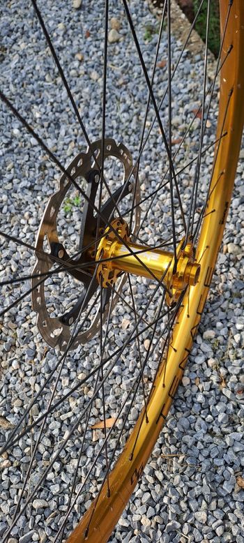 Bone Deth, tenace gold agazzini
