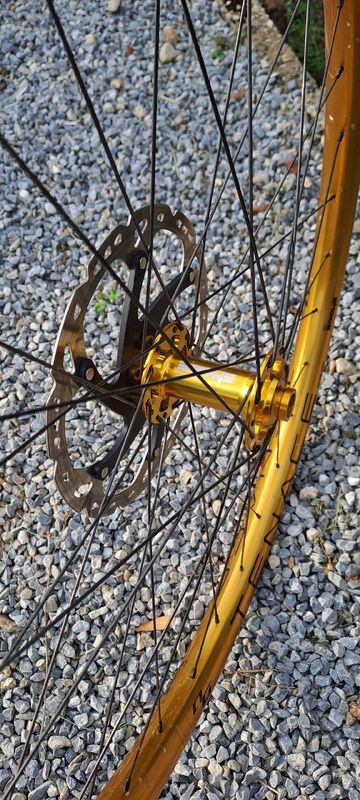 Used Bone Deth tenace gold agazzini 2023 Wheels