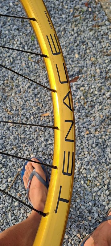 Used Bone Deth tenace gold agazzini 2023 bike — image 3 of 9