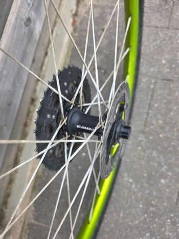Gebrauchtes erase custom berd spokes 2024 bike — Bild 3 von 3