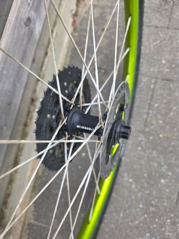 Used erase custom berd spokes 2024 bike — image 3 of 3
