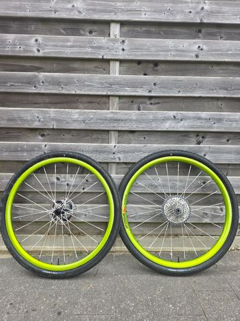 Gebrauchtes erase custom berd spokes 2024 bike — Bild 2 von 3