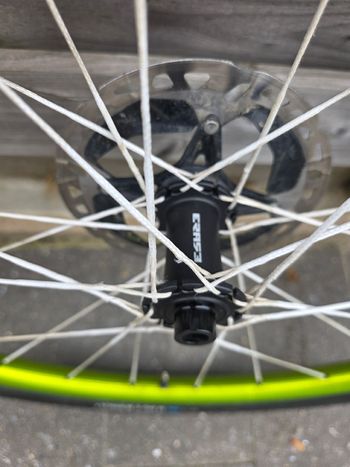 Used erase custom berd spokes 2024 Wheels