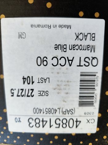 Used Salomon QST ACC 90 2021 Skiing & Skitouring