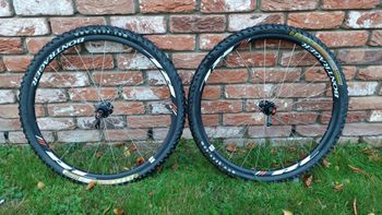 Used Bontrager RL Wheels
