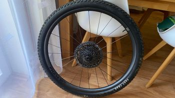 Used Newmen Phase 30 light VONOA 2025 Wheels