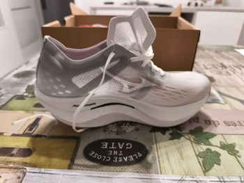 Used Mizuno wave rebelion pro 2 2024 Running Shoes