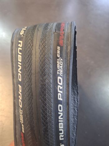 Used Vittoria Rubino Pro TLR 2025 bike