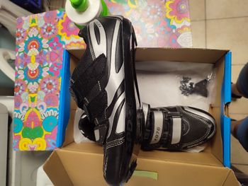 Used Shimano R706 bike — image 2 of 4