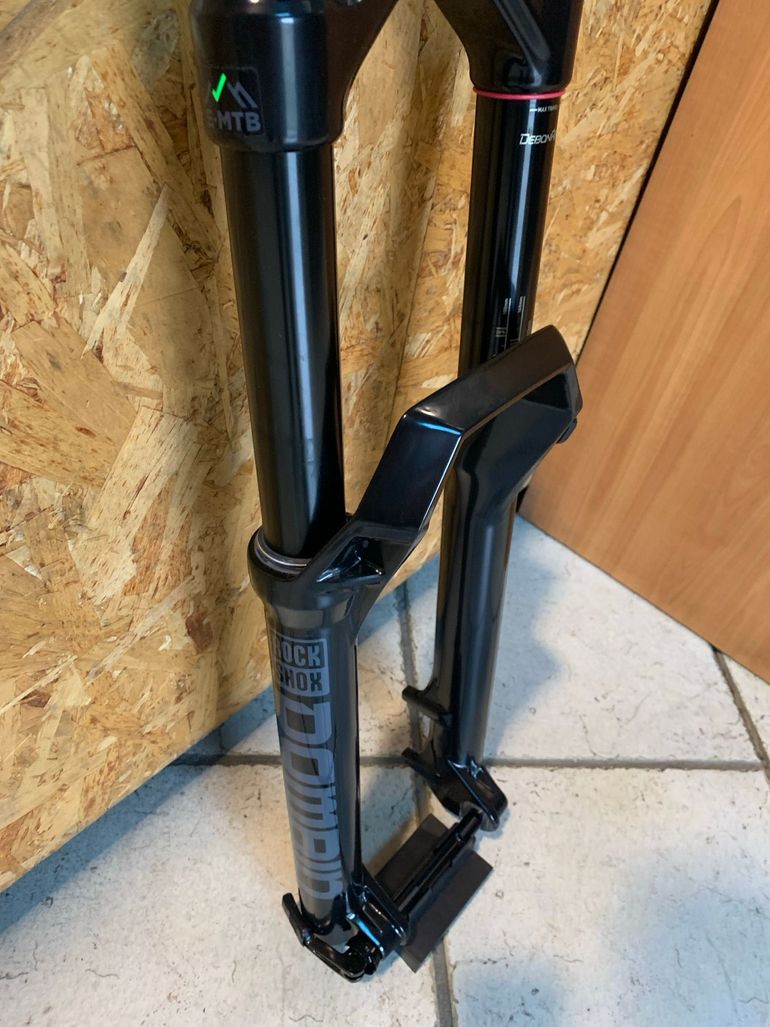 Rock Shox Rock Shox Domain RC 29 180 mm 2022