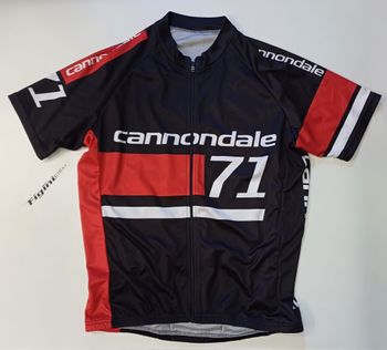 Used Cannondale Jersey 71 bike
