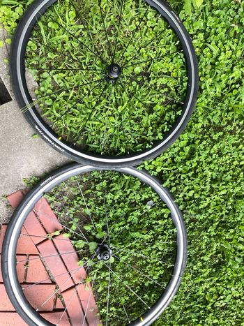Gebrauchtes Macneil Ksyrium UST 2019 Wheels