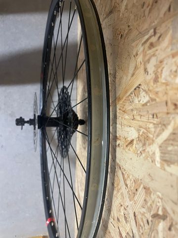 Used Massi black gold bike — image 9 of 13