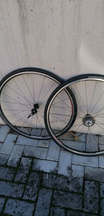Used Campagnolo proton 2010 bike — image 1 of 4