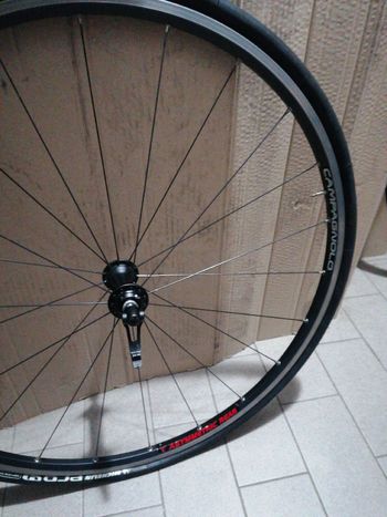 Used Campagnolo proton 2010 bike — image 3 of 4