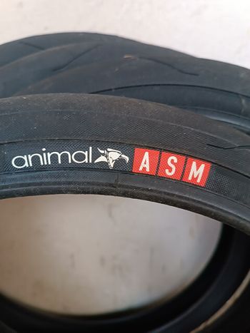 Used Animal ASM 20"x 1.95 2024 bike — image 3 of 3