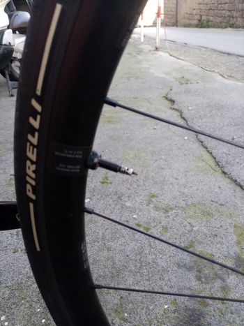 Dt Swiss LN Performance Alluminium Disk 2024 bike usato — immagine 3 di 4