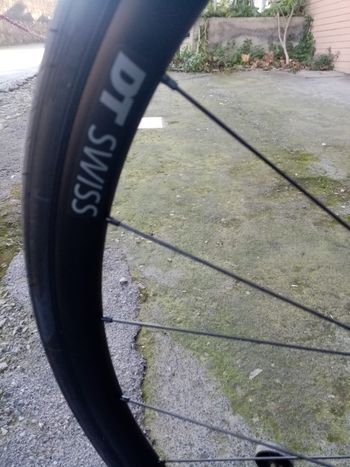 Dt Swiss LN Performance Alluminium Disk 2024 bike usato — immagine 2 di 4