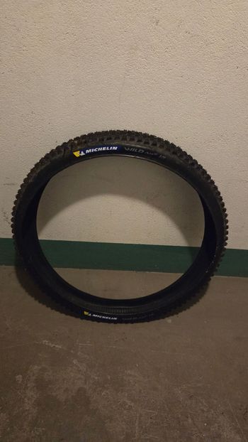 Michelin, Wild AM 2