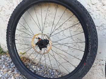 Used Syncros SILVERTON 2.0 Wheelset 2024 bike — image 3 of 4