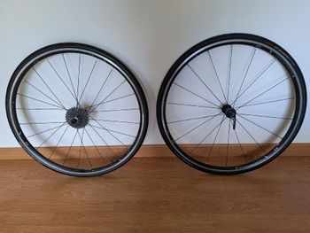 Bontrager Comp C17 2020 bike usato — immagine 9 di 9