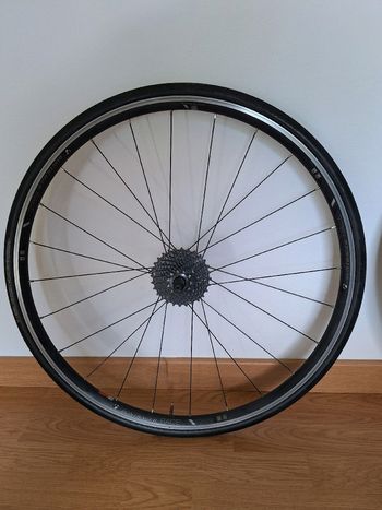 Bontrager Comp C17 2020 bike usato — immagine 7 di 9