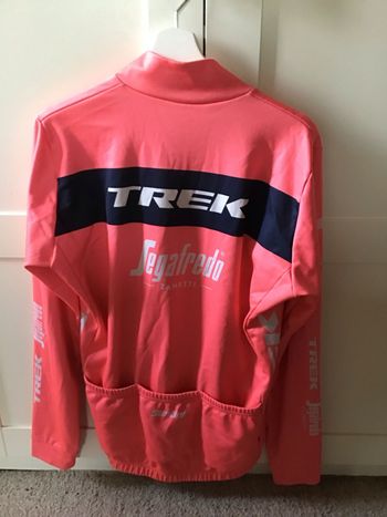 Santini Maillot Trek Segafredo Original 2020