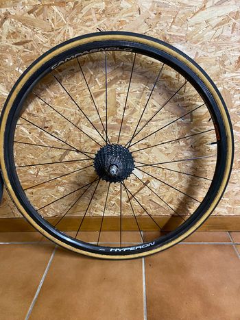 Used Campagnolo Hyperon Wheels