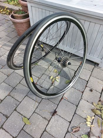 Brugt Mavic Aksium Elite UST Wheelset 2019 bike — billede 5 af 5