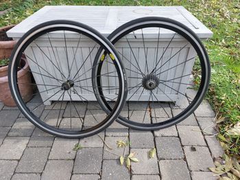 Used Mavic Aksium Elite UST Wheelset 2019 Wheels