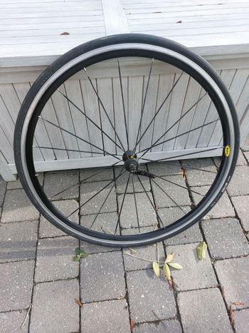 Brugt Mavic Aksium Elite UST Wheelset 2019 bike — billede 3 af 5