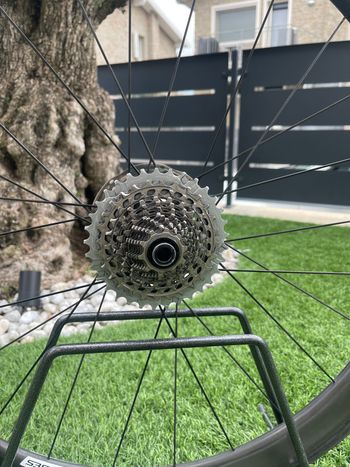 Tweedehands Eve Ruote Complete Wheel(s) 2023 bike — afbeelding 2 van 16