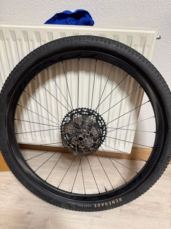 Roval, control dt350