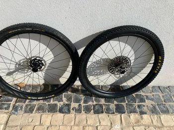 Bontrager, Kovee RSL 29"