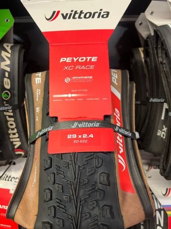 Used Vittoria Peyote 2025 bike