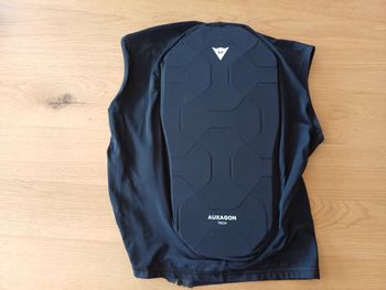 Dainese, Ski Rückenprotektor