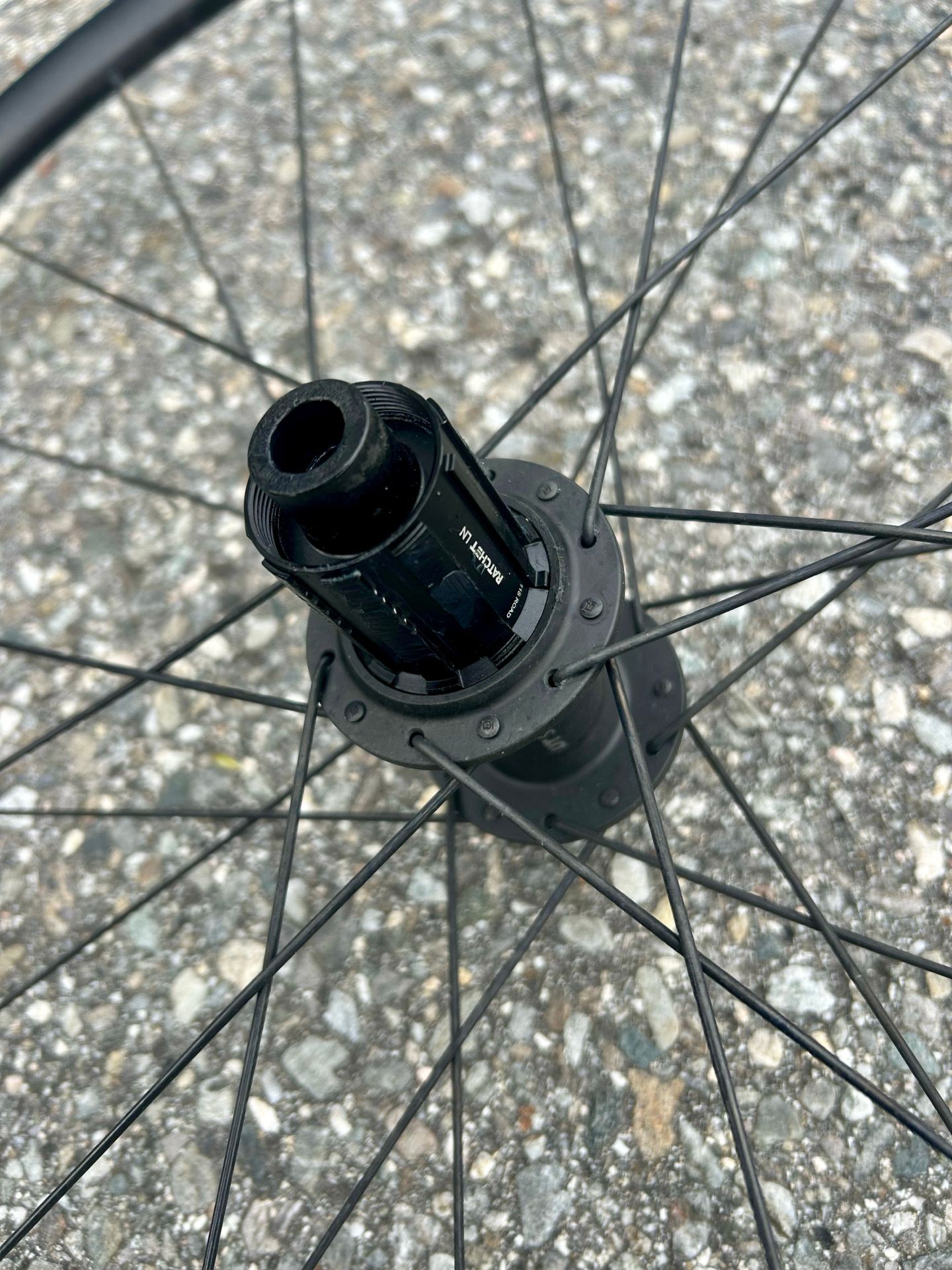 パーツ dtswiss performance ln Dt Swiss Performance LN 2024